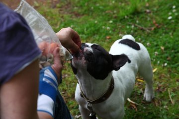 Bild 216 - 2012